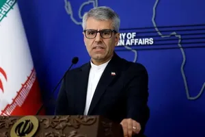 سخنگوی وزارت خارجه:  مبارزه نفس‌گیری در حال حاضر در جریان است