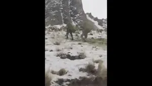 کمک به حیات وحش در سرمای منفی ۲۲ درجه با علوفه‌رسانی