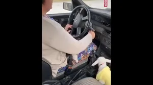 ماجرای عجیب شیر دادن یک زن ترک به بزغاله بی‌مادر