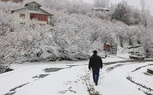 بارش برف در پردیس تهران در شب زمستانی