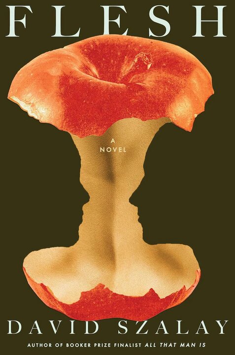 رمان «گوشت» نوشته دیوید سالای متهم شدن نویسنده برنده جایزه بوکر به کپیبرداری از یک فیلم کلاسیک