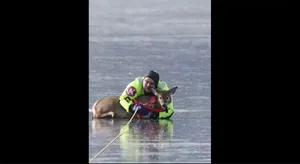 لحظه تماشایی نجات گوزن گرفتار روی دریاچه یخ زده در واشنگتن