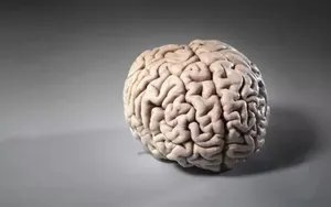 چرا آمیلوئید عروقی مغز خطرناک است؟