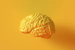 فراموشی و مه گرفتگی مغزی بعد از ۵۰ سالگی: چه زمانی باید نگران باشیم؟