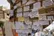نرخ بیکاری در زمستان ۱۴۰۴ چقدر بوده است؟ (+ اینفوگرافیک)