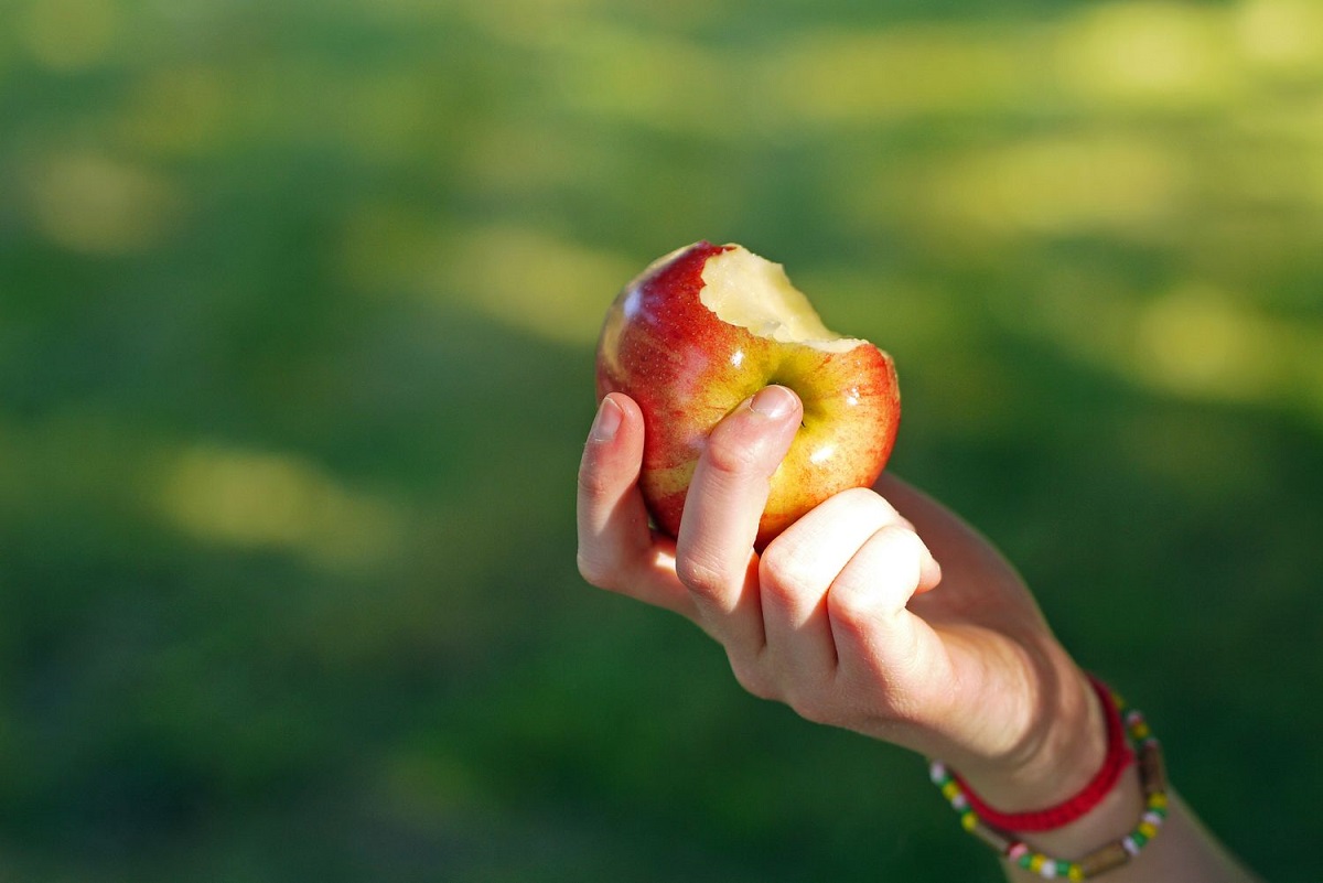 سیب گاز زده در دست یک فرد سیب گاز زده در دست یک فرد